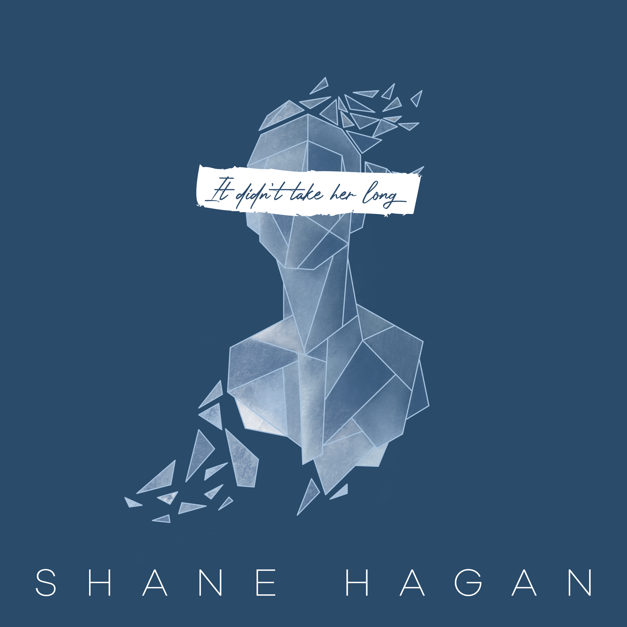 It Didn’t Take Her Long by Shane Hagan